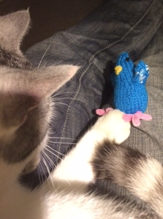 Knitted pigeon attacked by cat